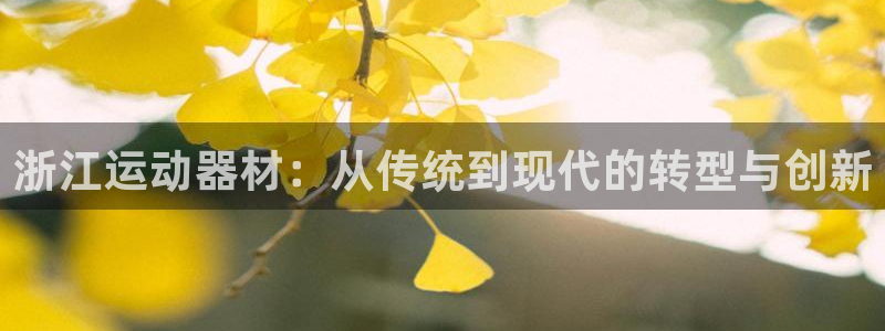 凯捷体育集团官网网址:浙江运动器材:从传统到现代的转型与创新