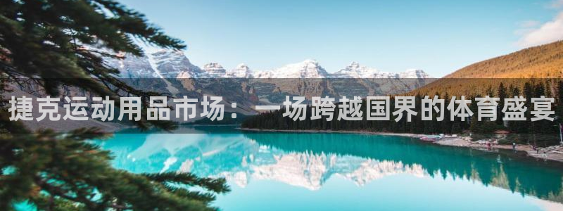 凯捷体育注册:捷克运动用品市场:一场跨越国界的体育盛宴