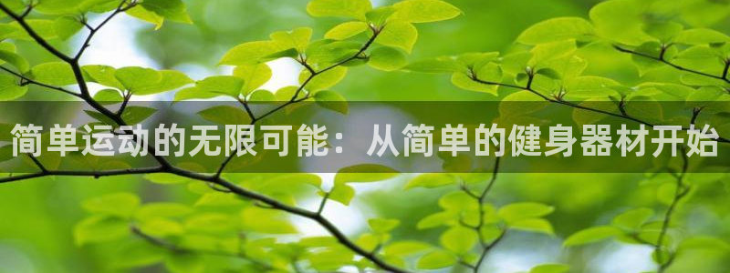 凯捷体育平台注册要钱吗:简单运动的无限可能:从简单的健身器材