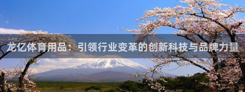 意昂平台体育:龙亿体育用品:引领行业变革的创新科技与品牌力量