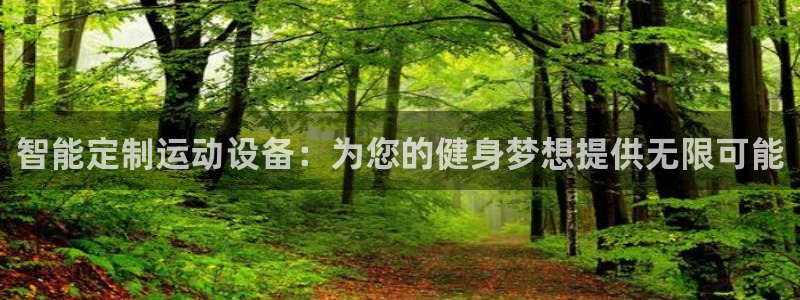 凯捷体育集团E.ON:智能定制运动设备:为您的健身梦想提供无