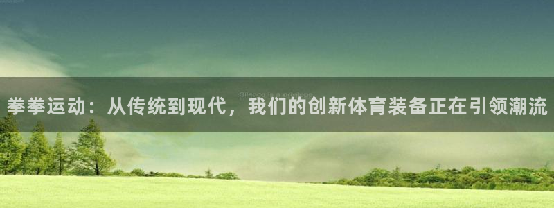 凯捷体育娱乐:拳拳运动:从传统到现代,我们的创新体育装备正在