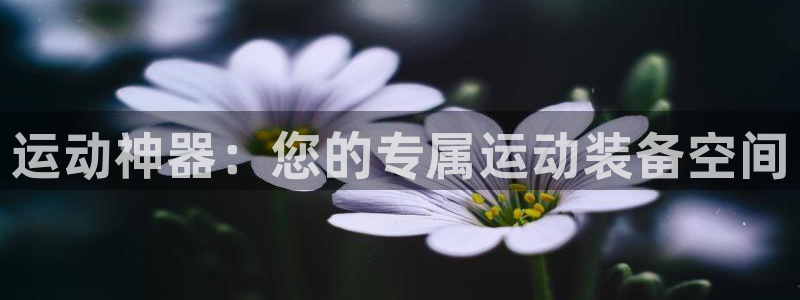 凯捷体育平台APP:运动神器:您的专属运动装备空间