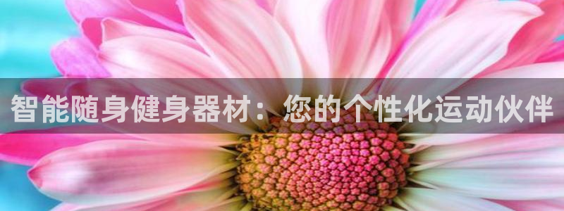 凯捷体育平台注册要钱吗:智能随身健身器材:您的个性化运动伙伴