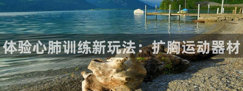 凯捷体育娱乐网站:体验心肺训练新玩法:扩胸运动器材