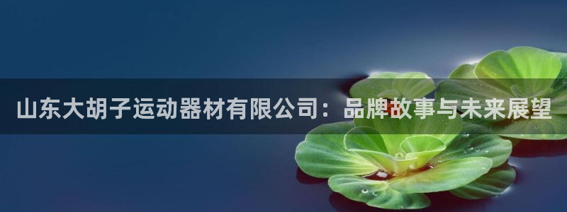 凯捷体育娱乐是那个系列的台子:山东大胡子运动器材有限公司:品