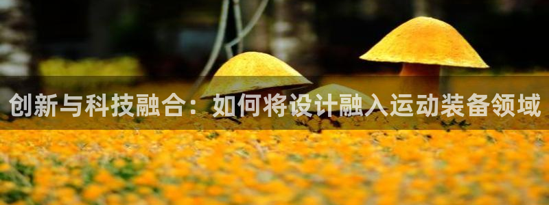 凯捷体育招商电话号码是多少:创新与科技融合:如何将设计融入运